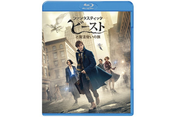 ファンタビ、4月19日にブルーレイ＆DVD！特別予告編も 画像