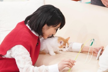 松本穂香、裏技使った猫とのかわいい自撮りに挑戦！ 画像