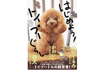 トイプードル飼育書『はじめよう！トイプーぐらし』発売！宇野樹宅の愛犬“トロちゃん”が表紙 画像