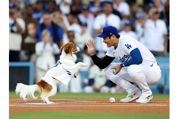 大谷翔平の愛犬・デコピンが始球式に！ 最後はキュートなハイタッチ 画像