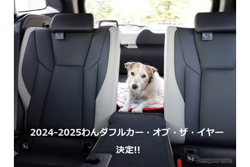 わんダフル カー・オブ・ザ・イヤー2024！ 愛犬家と愛犬にとってベストな一台とは【青山尚暉のわんダフルカーライフ 最終回】 画像