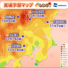 今年の紅葉の見頃時期は例年並みか 画像