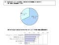 ホームページ所有者の7割がブログも併用、アフィリエイトや動画共有が人気〜ソースネクスト調べ 画像