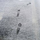 東京で初雪を観測！ 画像