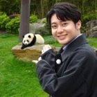 パンダ初来日から50年！日本にいる全13頭を紹介......『世界ふしぎ発見！』 画像