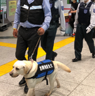 大型国際会議期間中、鉄道駅で「危険物察知犬」活用した警備が実施 画像