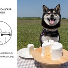犬用シフォンケーキ専門インスタ開設！愛犬家の新たな交流の場に 画像