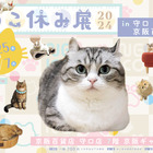 守口市初上陸！「ねこ休み展」が京阪百貨店 守口店で開催 画像