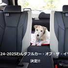 わんダフル カー・オブ・ザ・イヤー2024！ 愛犬家と愛犬にとってベストな一台とは【青山尚暉のわんダフルカーライフ 最終回】 画像