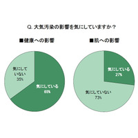 大気汚染、「肌」への影響を気にしている女性は2割台……対策ポイントは「日々の洗顔」 画像