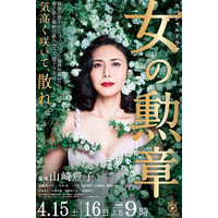 松嶋菜々子、シースルーのドレスが美しいポスター公開！『山崎豊子ドラマスペシャル 女の勲章』 画像