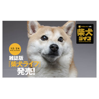 雑誌版『柴犬ライフ』が季刊誌に！冬号表紙はインスタフォロワー28万人“もぐちゃん” 画像