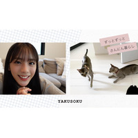 貴島明日香、”スーパー猫の日”に愛猫たちとのVlog公開 画像