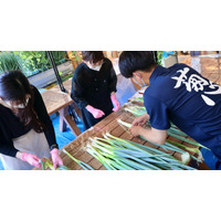 京野菜・九条ねぎの魅力を楽しむ1日限定イベント開催 画像
