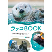 発売前からAmazon人気度ランキング1位に！ ラッコの“すべて”がわかる『ラッコBOOK』7月発売 画像