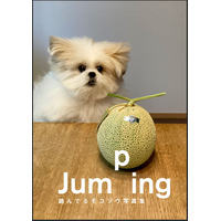 不思議可愛いミックス犬“モコゾウ”の写真集が刊行！『跳んでるモコゾウ写真集』 画像