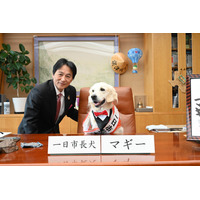 盲導犬マギーちゃん、京都・亀岡市の一日市長犬に就任！ 任命式では市長の椅子の座り心地を確認 画像