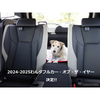 わんダフル カー・オブ・ザ・イヤー2024！ 愛犬家と愛犬にとってベストな一台とは【青山尚暉のわんダフルカーライフ 最終回】 画像