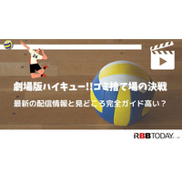 映画『ハイキュー!! ゴミ捨て場の決戦』配信情報と見どころガイド 画像