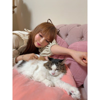 中川翔子の愛猫・ピンクちゃんが1日室長に！ 猫の日限定で「Yakult1000 睡眠にゃーけてぃんぐ室」が新設 画像