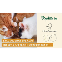 どうぶつのSDGsを考えよう！保護猫支援のSNS参加型企画スタート