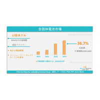 固体電池市場：世界調査レポート、需要、規模、メーカーシェア、成長、動向、見通し（2024年～2033年）